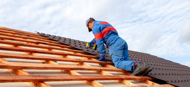 Best Roof Insulation Installation  in Ravenel, SC